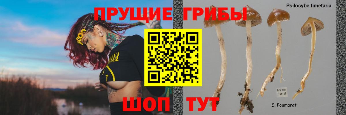Псилоцибиновые грибы Magic Shrooms  Вход с VPN  Донской 